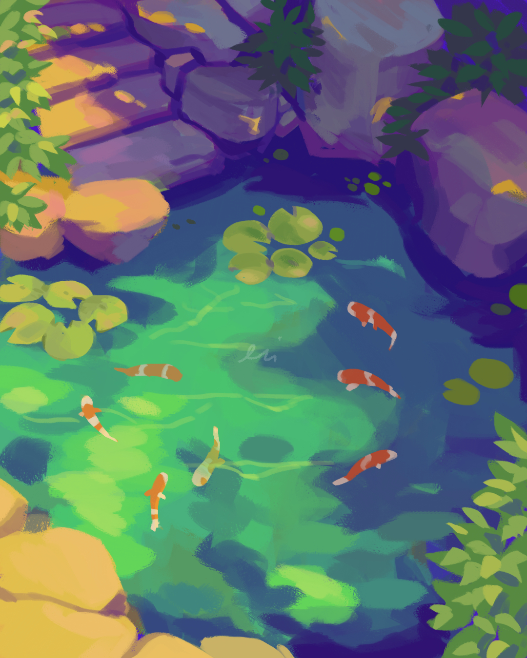 Koi Fish Pond